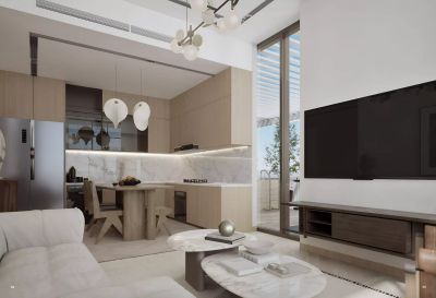Illustrative developer render