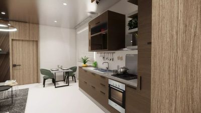 Illustrative developer render
