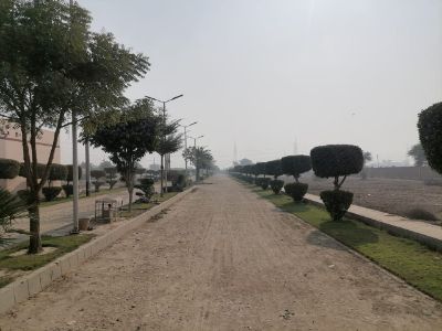 Project image