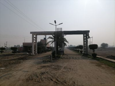 Project image
