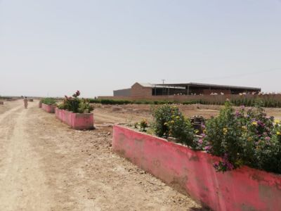 Project image