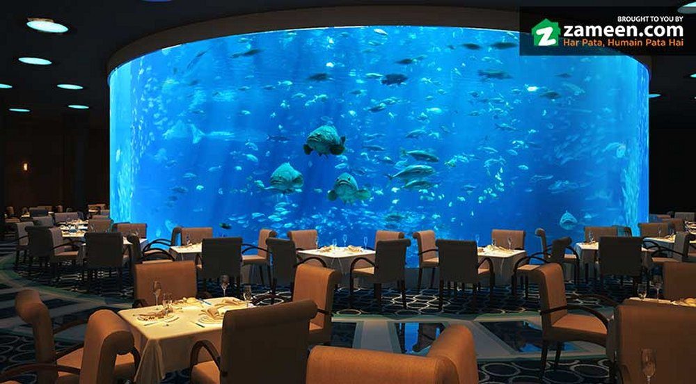 The Aquatic Mall