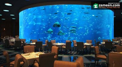 The Aquatic Mall