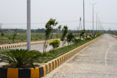 Project image