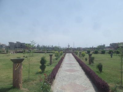 Project image