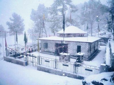 Paradise Continental Huts & Plots