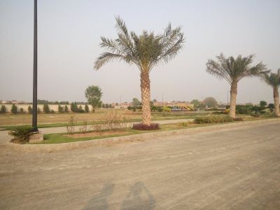 Project image