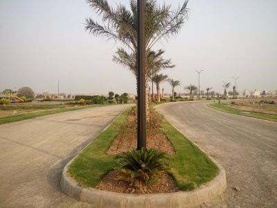 Project image