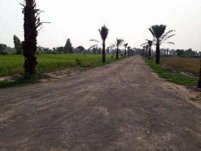 Etihad Farm Houses