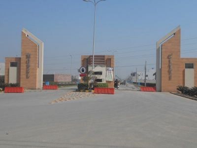 Project image