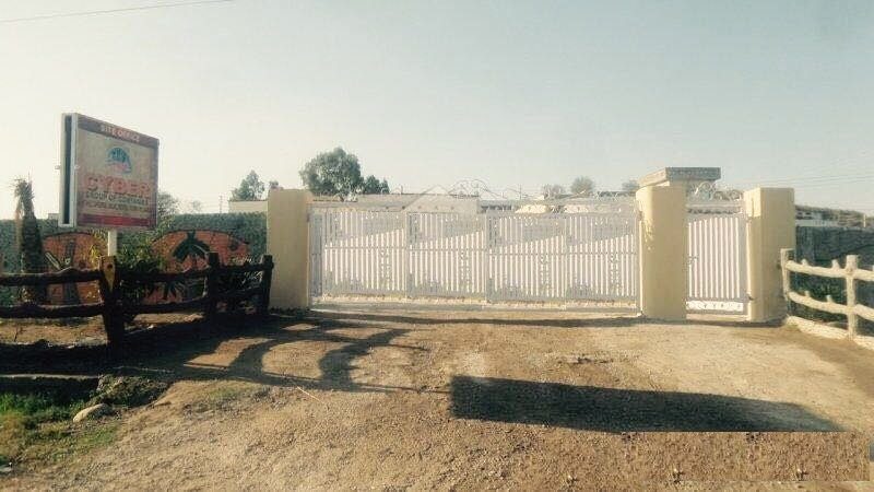 Ideal Agro Farms