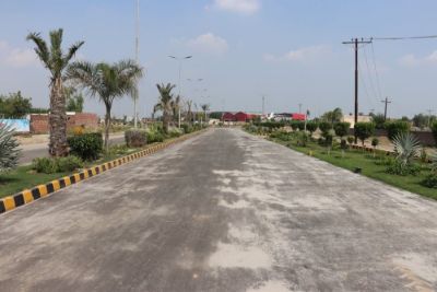 Project image