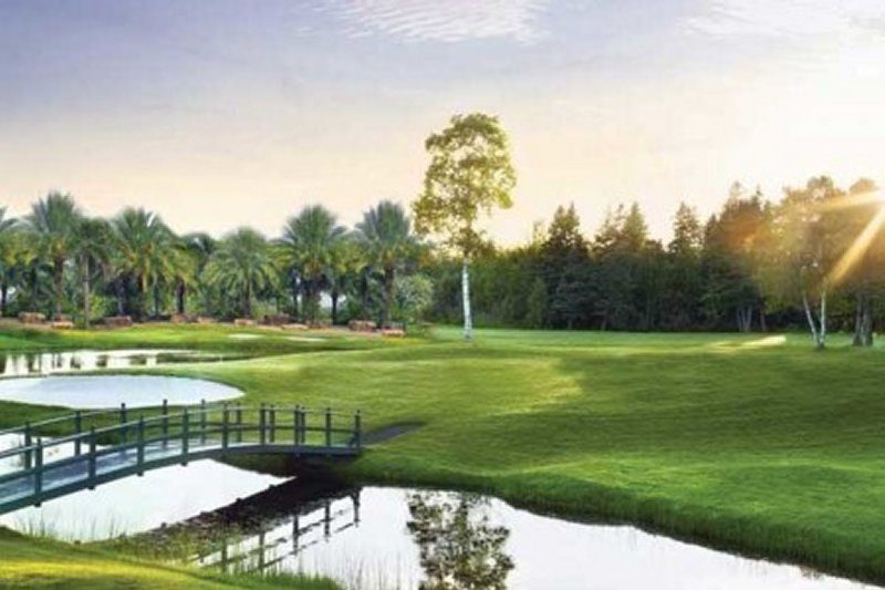 Royal Palm City