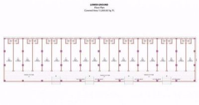 Floor plan – Lower Ground Floor - Floor Plan