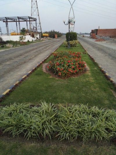 Project image