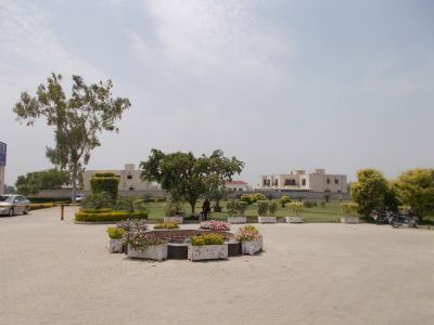 Project image