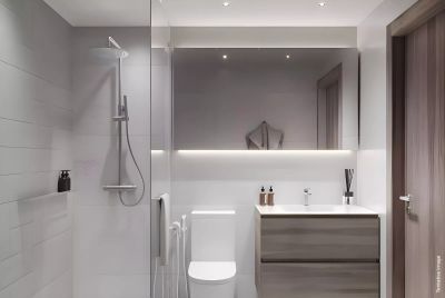 Illustrative developer render