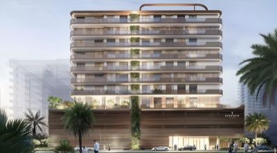 Illustrative developer render