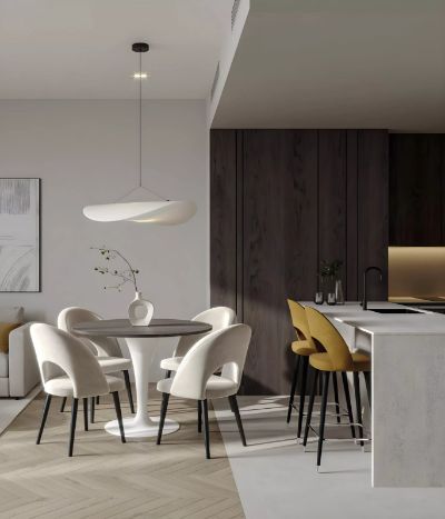 Illustrative developer render